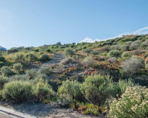 Secure Home in Eco Estate Noordhoek